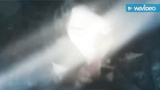tit smacking blowjob