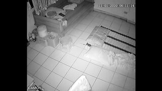 CCTV camera
