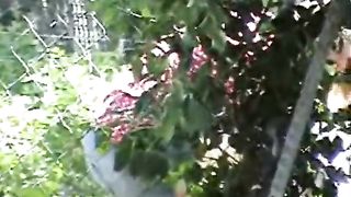 Neighbor in garden