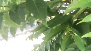 Segui minha Esposa Carol e flagrei ela dando o Cu pra um Desconhecido. ( Cuckold ) Corno Filmando.