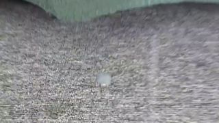 American Chocolates 02 - Scene 3