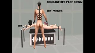 BDSM Posebox 1