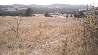 College student sucking on a mountain walk. Public Blowjob & cum in mouth.