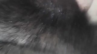 Slave Pup Deep Pussy Training BBC