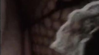 Maid Gets first Arse Pulverising