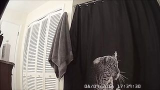 Sexy cutie in the shower 7