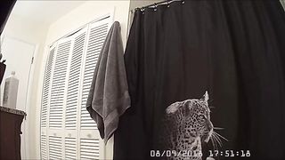 Sexy cutie in the shower 7