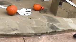 Pumpkin Smashing with Blonde Big Tits KENZIE TAYLOR for Halloween Trick or