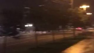 sex in the middle of the city part two