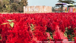 VLOG - 4K - Visit Flower Garden at Chiangmai พาไปเสียวที่สวนดอกไม้