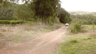 Dusty Road