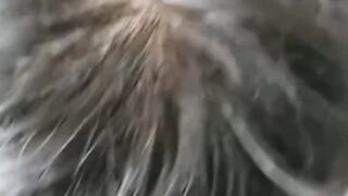 Sissy ladyboy maid is a cocksucker and also get the cock inside her ass fucked hard