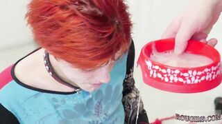 Maid Anal Punishment And Brutal Gangbang Xxx Cummie, The Painal Cum Cat - Amateur Anal Teen