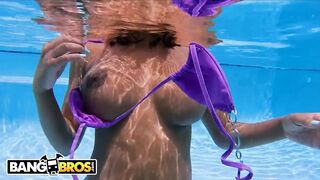 BANGBROS - Brown Bunnies Compilation Featuring Sarai Minx, Numi Zarah, August Skye And More!