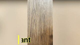 Alexis May S Giant Tits Get Fucked Hard - Alexis S