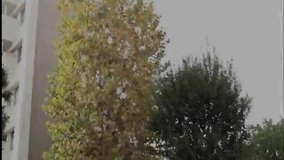 Mother incest story