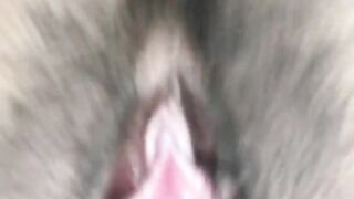 Your Cocks POV - curvy slut bounces on your dick
