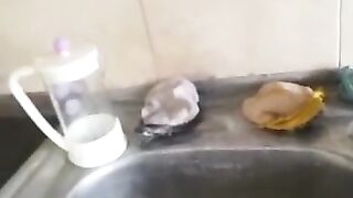 سکس دو دختر خوشکل با پیرمرد