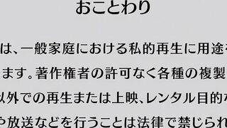Koutetsu No Majo Annerose 04