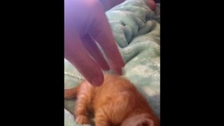 Beating that Pussy into Submission