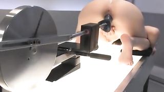 Young Sasha Grey on the doggy machine