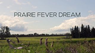 Prairie Fever Dream - Blue Revue Submission 2019