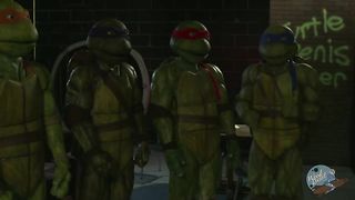 Behind the Scenes of Ten Inch Mutant Ninja Turtles!