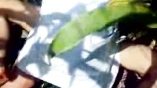 Maid Groupfucked in Farm