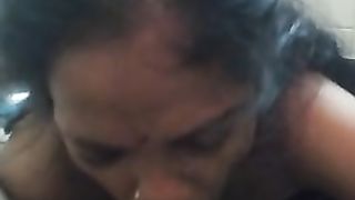 Desi maid jyoti sucking my cock