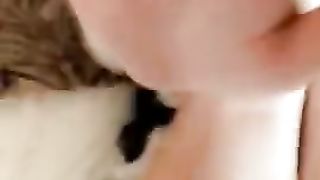Japanese Maid Fucked Hard