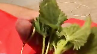CBT: Stinging Nettles, Balls Tied, Electrostim