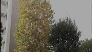 Mother incest story