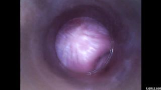 Kira - Kinky Selfie (endoscope Pussy Cam Video)